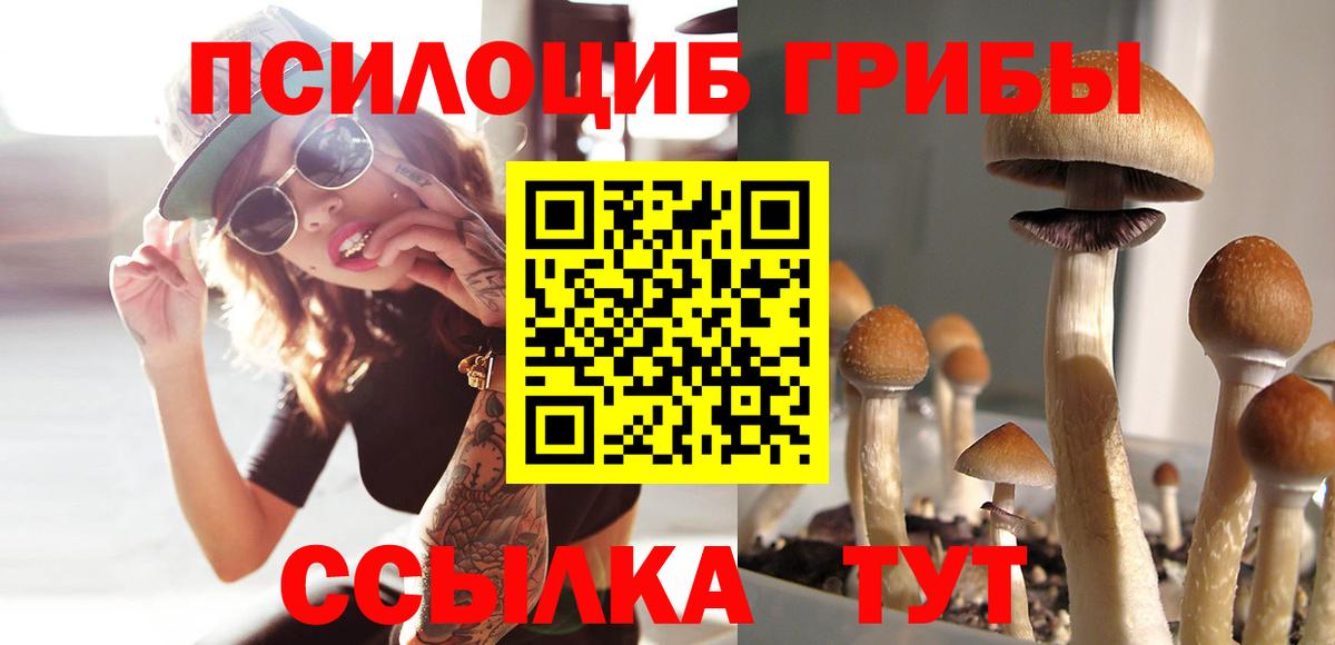 Псилоцибиновые грибы мухоморы Выкса