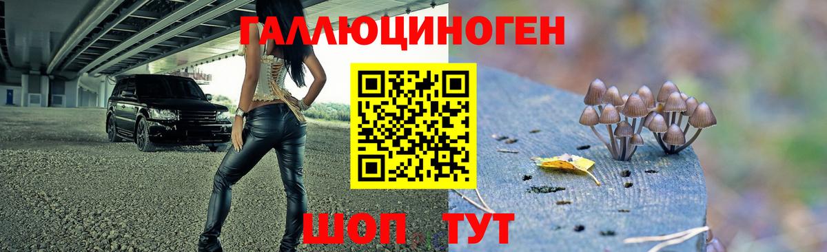 Псилоцибиновые грибы MAGIC MUSHROOMS  Вход с VPN  Галлюциногенные грибы Psilocybe  Выкса 